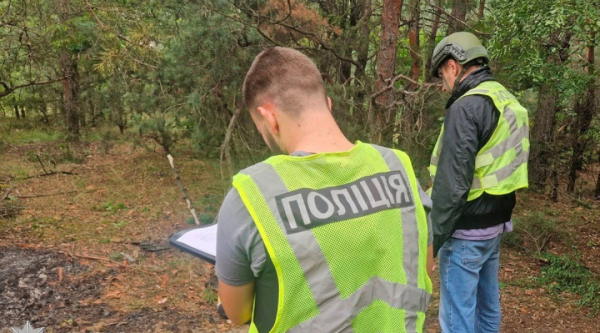 Атака дронів та ракет РФ на два райони Києва: кількість постраждалих збільшилася до 16, троє загинули 11