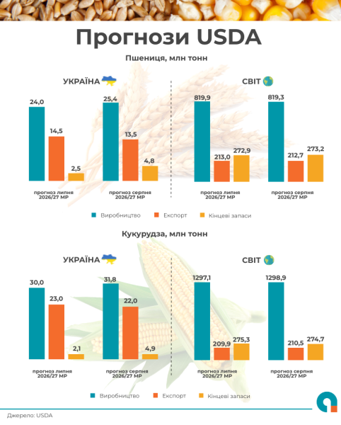 Міністерство сільського господарства США підвищило прогноз врожаю української пшениці та кукурудзи 4