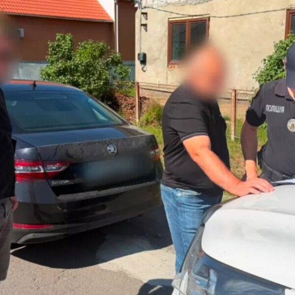 На Закарпатті виявили незаконного лісоруба, відповідального за знищення букових лісів.