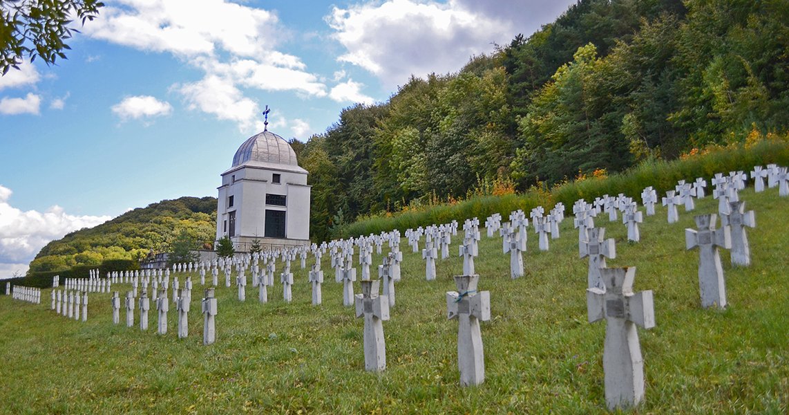 сео броди