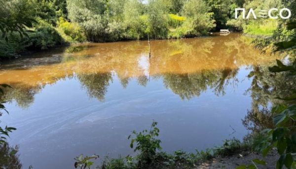 Після російської атаки в Києві виявлено забруднення річки Борщагівки.