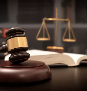 Забруднення земель на 15 млн грн: на Київщині судитимуть власника ділянок