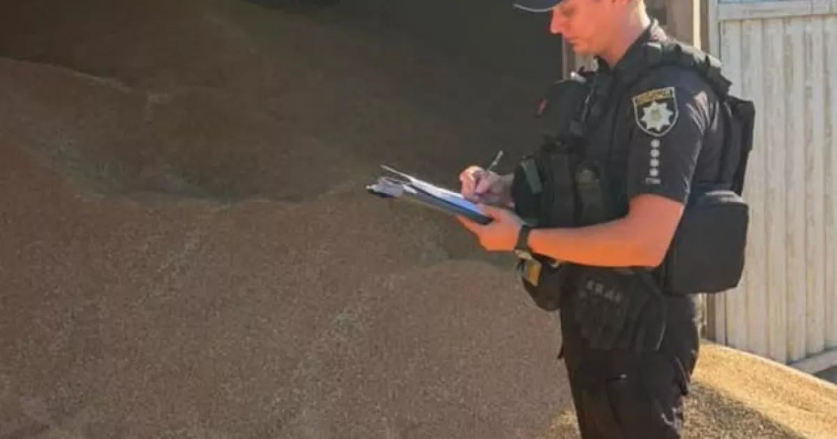 Ізмаїл: водій вантажівки загинув під завалами зерна на території підприємства 2 Ілюстрація до публікації