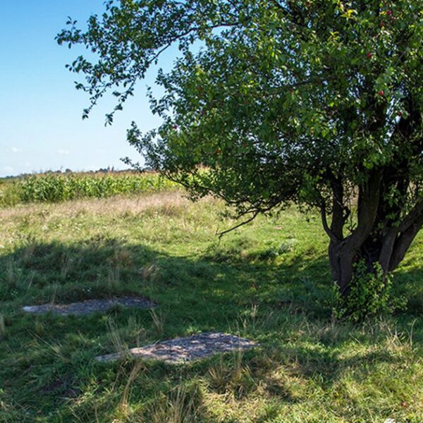 Молебень на Маковея. Галина Пагутяк