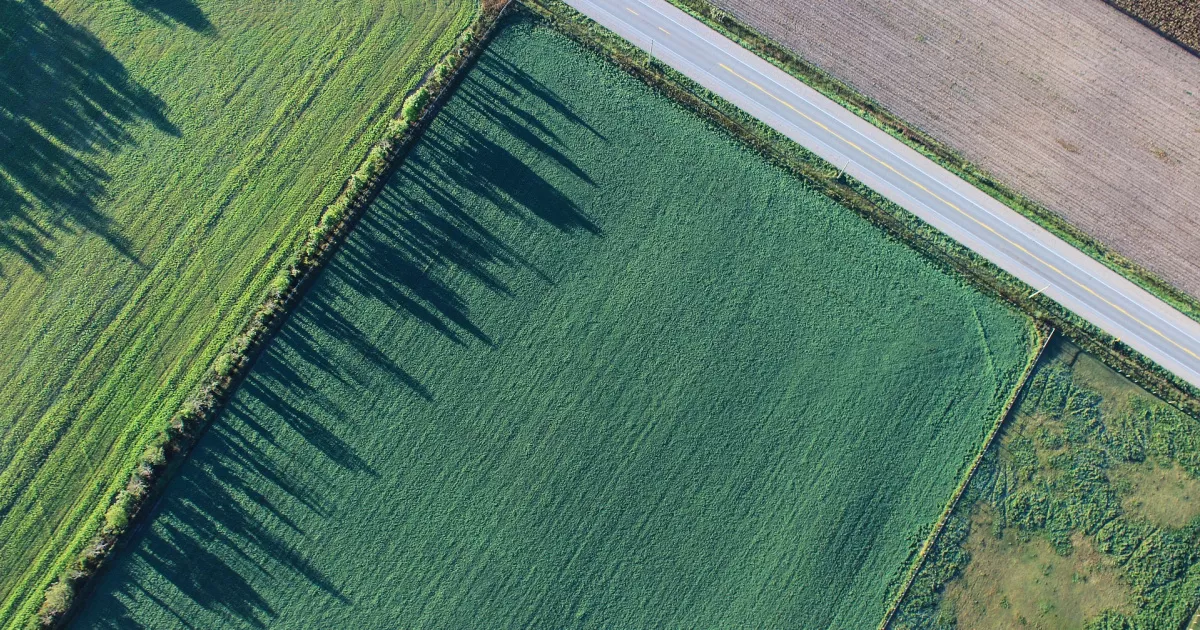 Фото до статті