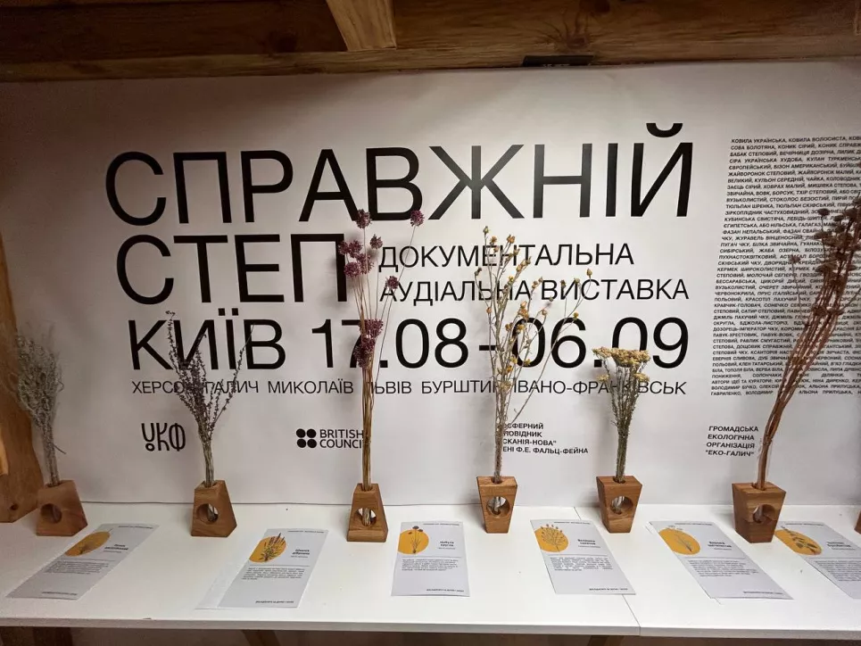 20 хвилин у справжньому степу: у Києві триває незвичайна інклюзивна виставка 7