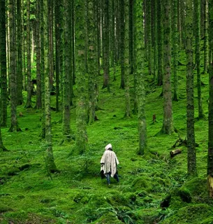 Фото ілюстративне / sdg.iisd.org