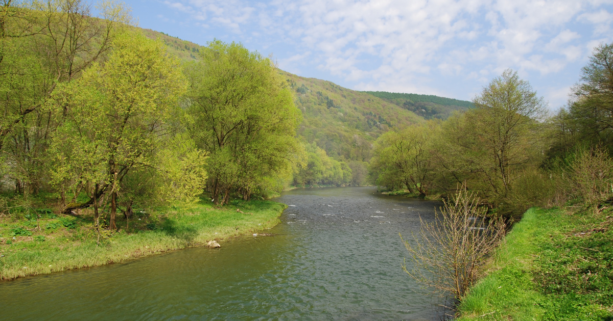 Засуха в Закарпатті: у Мукачеві річка Латориця критично зневодніла 2 Фото до статті