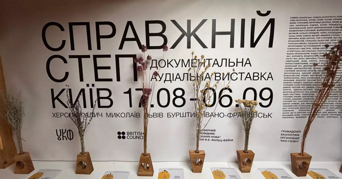 20 хвилин у справжньому степу: у Києві триває незвичайна інклюзивна виставка 7 Фото до статті