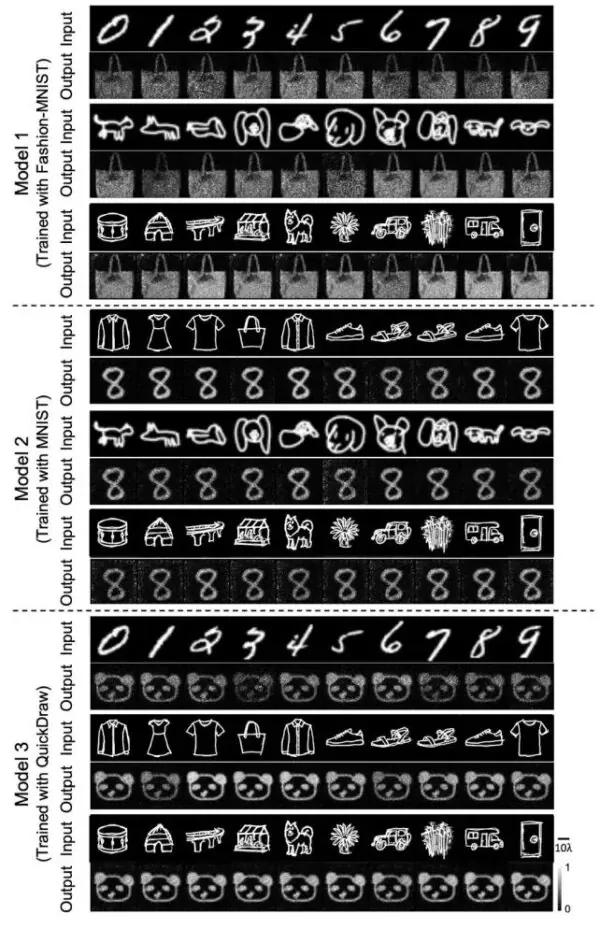 Приклади вхідних та вихідних даних версій моделі. Фото: Li, Chen et al., Nat. Commun