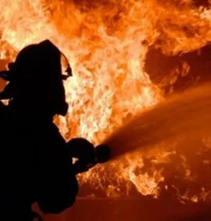 Падіння уламків ворожого безпілотника спричинило масштабну пожежу в Дунайському заповіднику