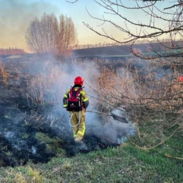 Небезпека та сувора відповідальність: чому спалювання стерні та сухостою є злочином