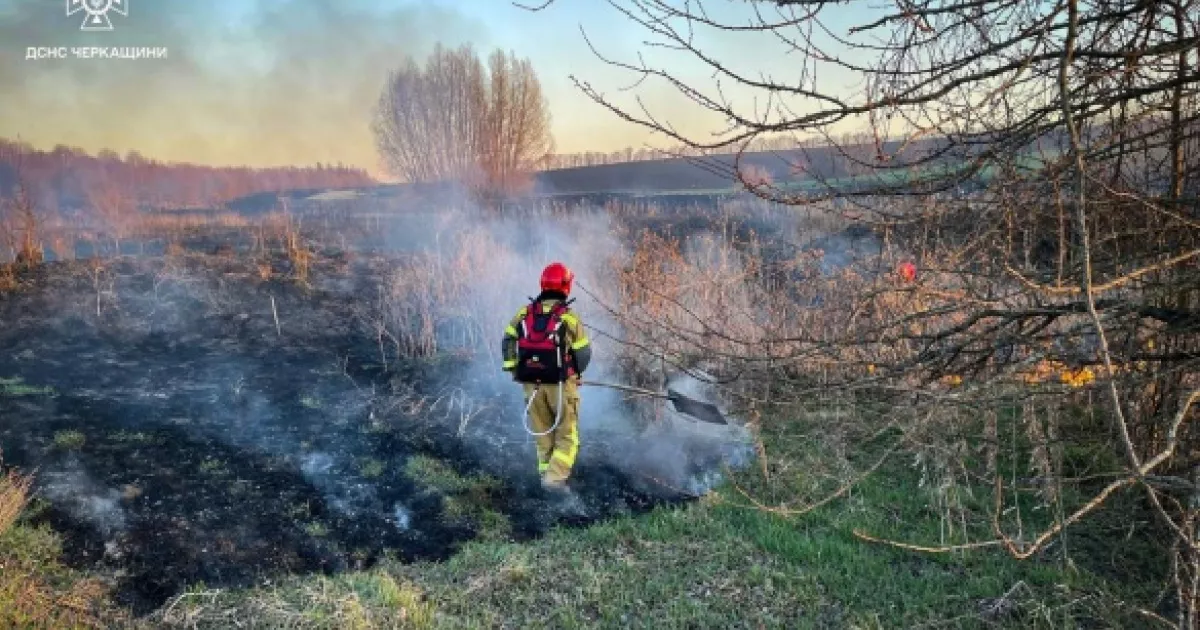 Фото до статті