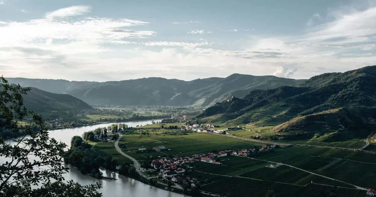 Фото до статті