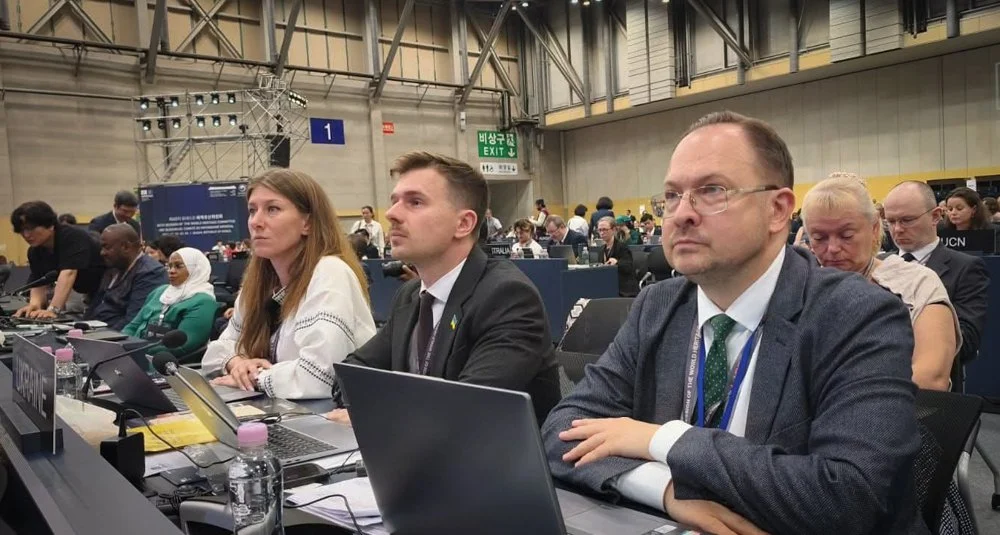 Ліна Дорошенко: Росія всюдисуща, її підтримка потужна 19