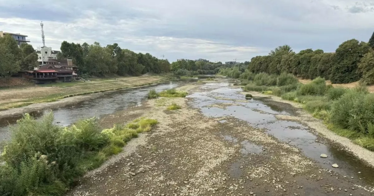 Річка Уж критично обміліла в Ужгороді.