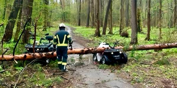 На Черкащині дерево смертельно травмувало жінку на квадроциклі