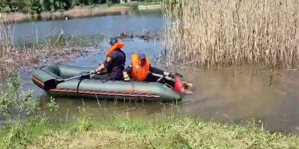 Хлопець загинув у ставку на Черкащині