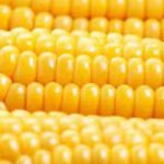Головна 93 Фуражна кукурудза дешевшає: українські аграрії знижують ціни