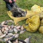 Рибоохоронці виявили збитки на понад 600 тисяч гривень під час&hellip;
