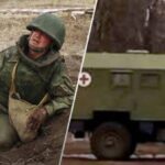 Окупанти розрили скотомогильник, підхопили сибірську виразку і зникли