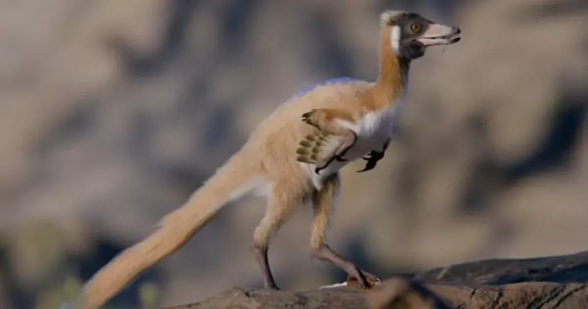 Птахоподібний динозавр Алнашетрі. Фото: Національний університет Ріо-Негро