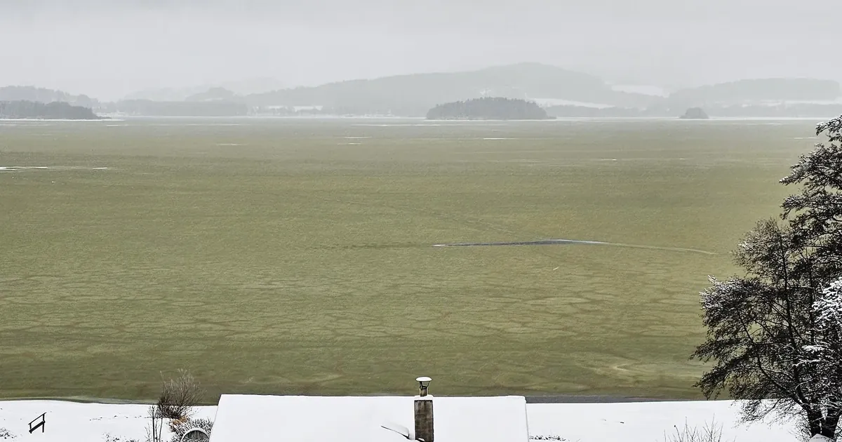 Озеро Ліпно. Фото: Петр Знахор Озеро Ліпно. Фото: Петр Знахор