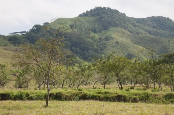 Вулкан, який «знищує цивілізацію», вивергається – чи може він спровокувати потужне виверження? 14