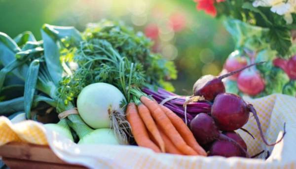 Мінекономіки не прогнозує стрімкого подорожчання овочів для борщу. 2