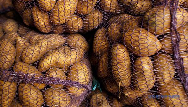 Український ринок відчув збільшення цін на картоплю через значний попит. 3