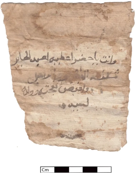 Прорив у розгадці міфу про африканського «короля Артура» після знахідки у купі сміття 12