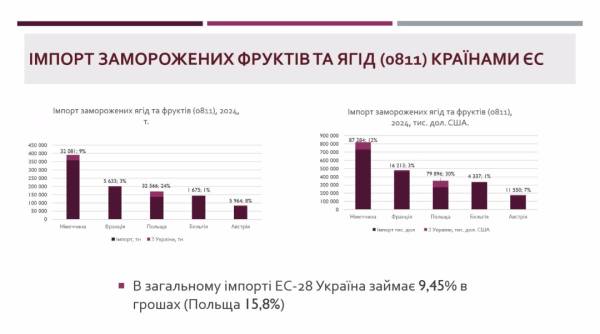 Ягідний експорт з України до Франції та Німеччини зростає, заявляє об'єднання виробників. 4
