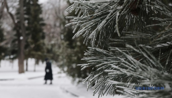 Цьогорічна зима у Києві стала найхолоднішою за 15 років