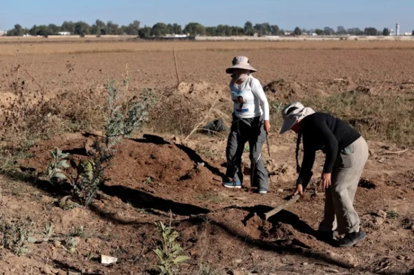 Кармен Меза (ліворуч) та Вірджинія Понсе, учасниці колективу «Manos Buscadoras» («Шукаючи руки»), йдуть місцем, де було виявлено таємне поховання в пошуках їхнього брата та сина відповідно, поблизу стадіону, де відбудеться Чемпіонат світу з футболу 2026 року, у Сапопані, штат Халіско, Мексика.