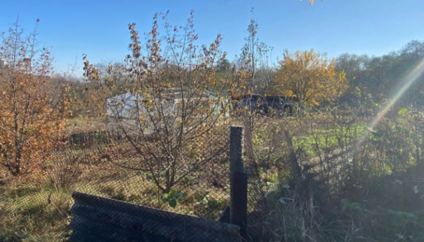 У Києві підприємиця захопила землю в національному природному парку та звела там будинок - поліція