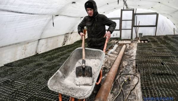 Аграрії попереджають: Україна ризикує втратити до $5 млрд доходів від експорту через високу вартість добрив. 2