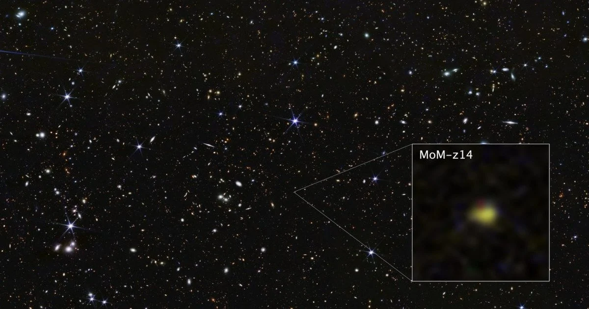 MoM-z14