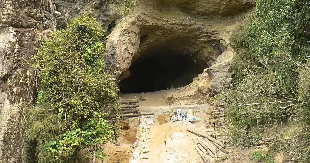 Печера в Новій Зеландії. Фото: Тревор Уорті