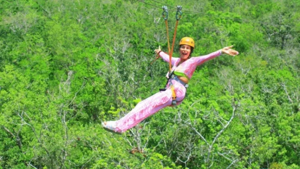 Париж запобіг «теракті чоловіка з бомбою», спрямованому проти Bank of America 4 Зухвалу шахрайку з виплатами пільг Кетрін Віланд засудили за шахрайство після того, як її заарештували за розкішний спосіб життя за рахунок платників податків.