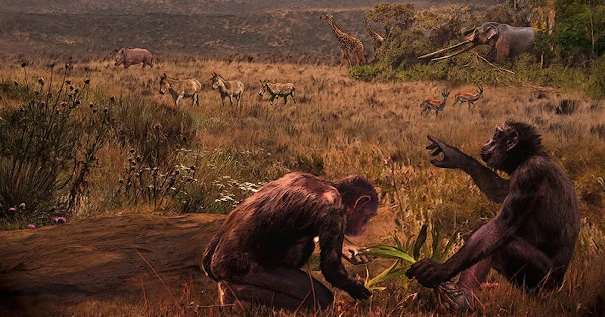 Graecopithecus freybergi . Художнє уявлення: Велізар Сімеоновський