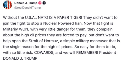 "Він просто паперовий тигр!" Трамп засудив НАТО за ігнорування іранської проблеми. 6