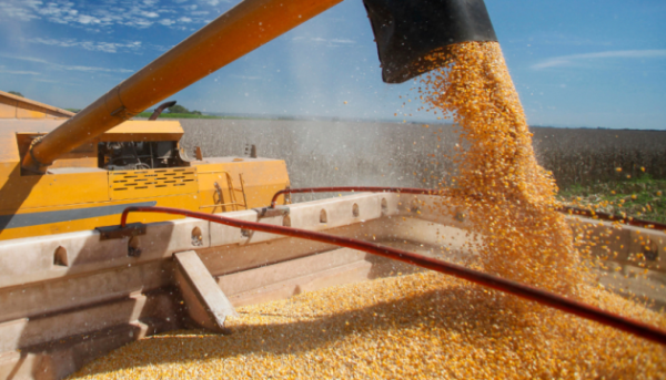 БЕБ зупинило нелегальний вивіз збіжжя через Одеську гавань 2