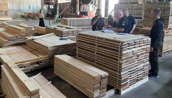 Більше 60 обшуків: у Києві припинено багаторічну нелегальну експортну схему деревини 3