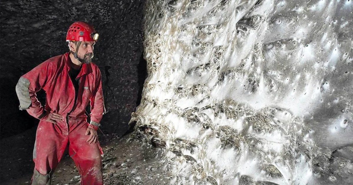 Павутиння в печері. Фото: Subterranean Biology