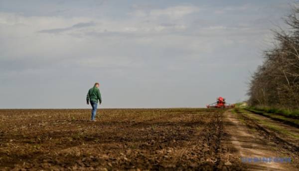 Посівна кампанія розпочалась у сімнадцяти регіонах України. 2