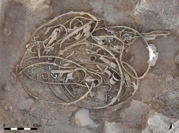 Скарб. Фото: Durham University