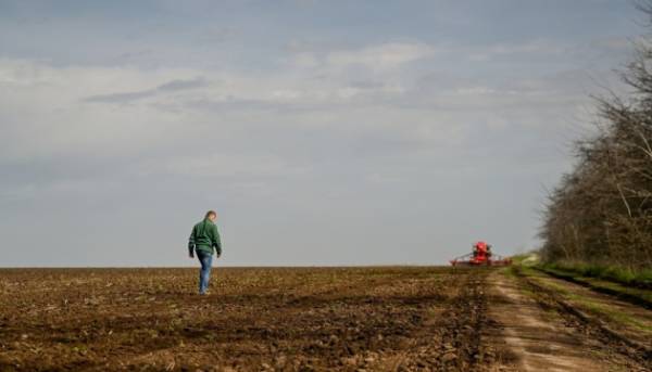 У минулому році кадастр землі поповнився інформацією про більш ніж 128 тис. наділів. 2