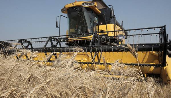 Мінсільгосп США підняв оцінку українського врожаю пшениці та соняшнику. 2