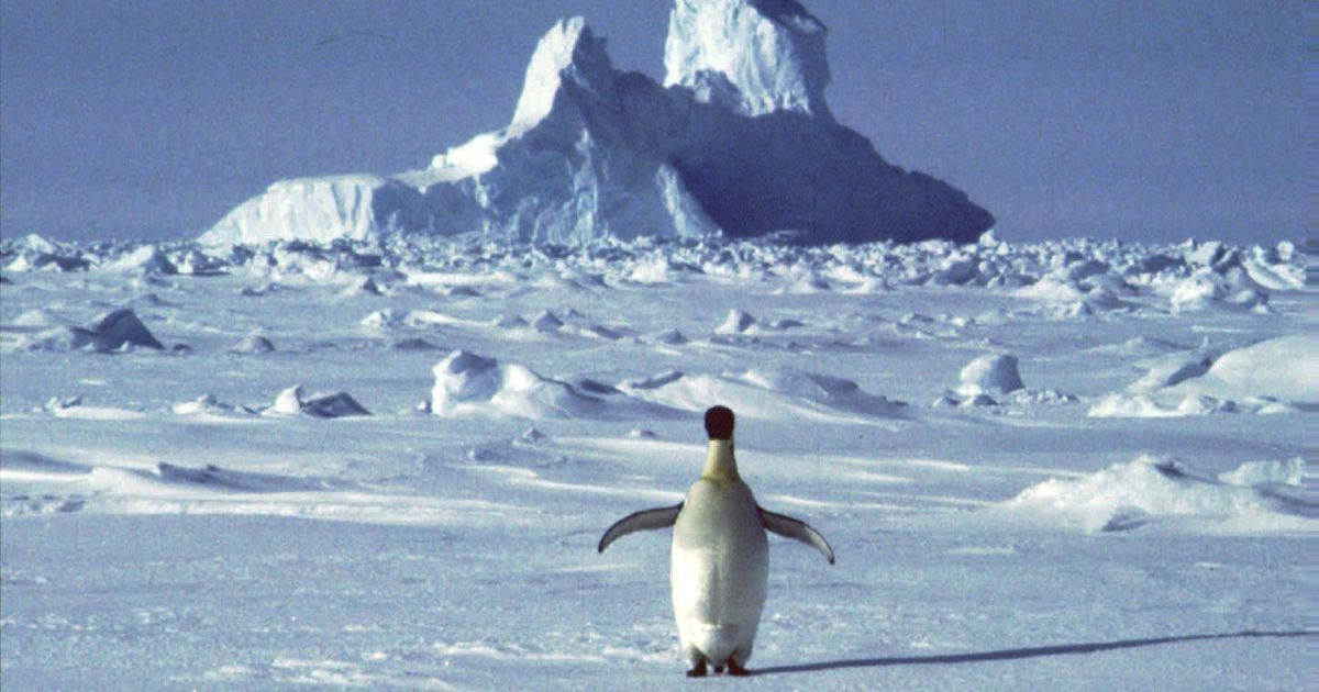 Антарктида