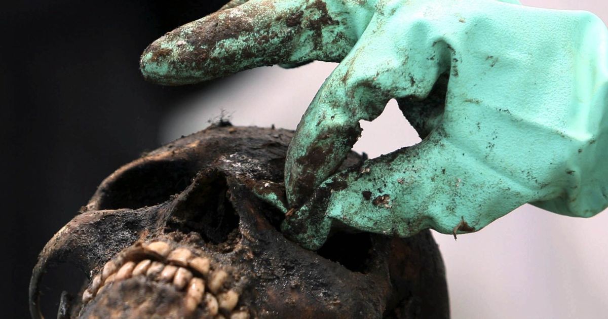 Череп Череп